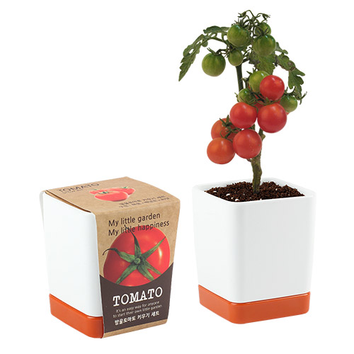 ����簢 ȭ��- ����丶��