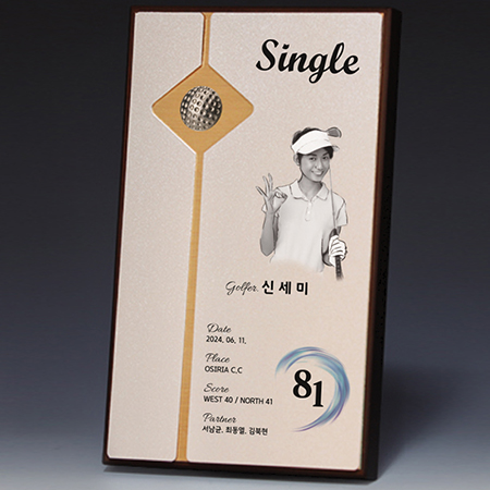 ���� �ι�ȭ �˷�̴� ���� Ʈ���� S8A015-34