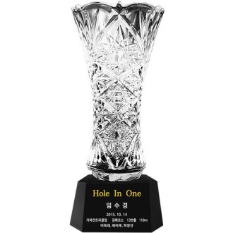 KC422 ������ǽ� �����̾� ũ����Ż Ʈ���� 1